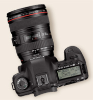 7d