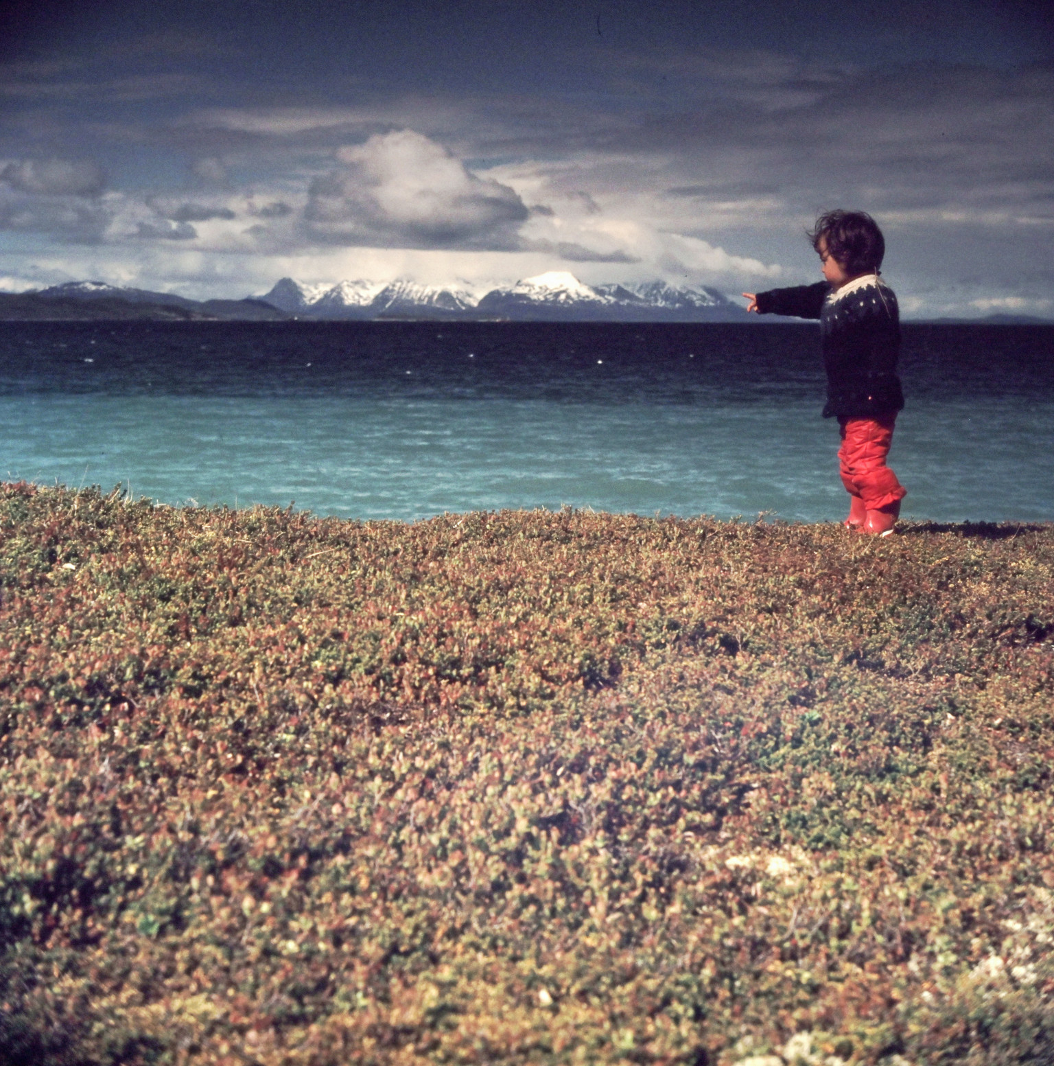 Childhood Memories - Photo 21