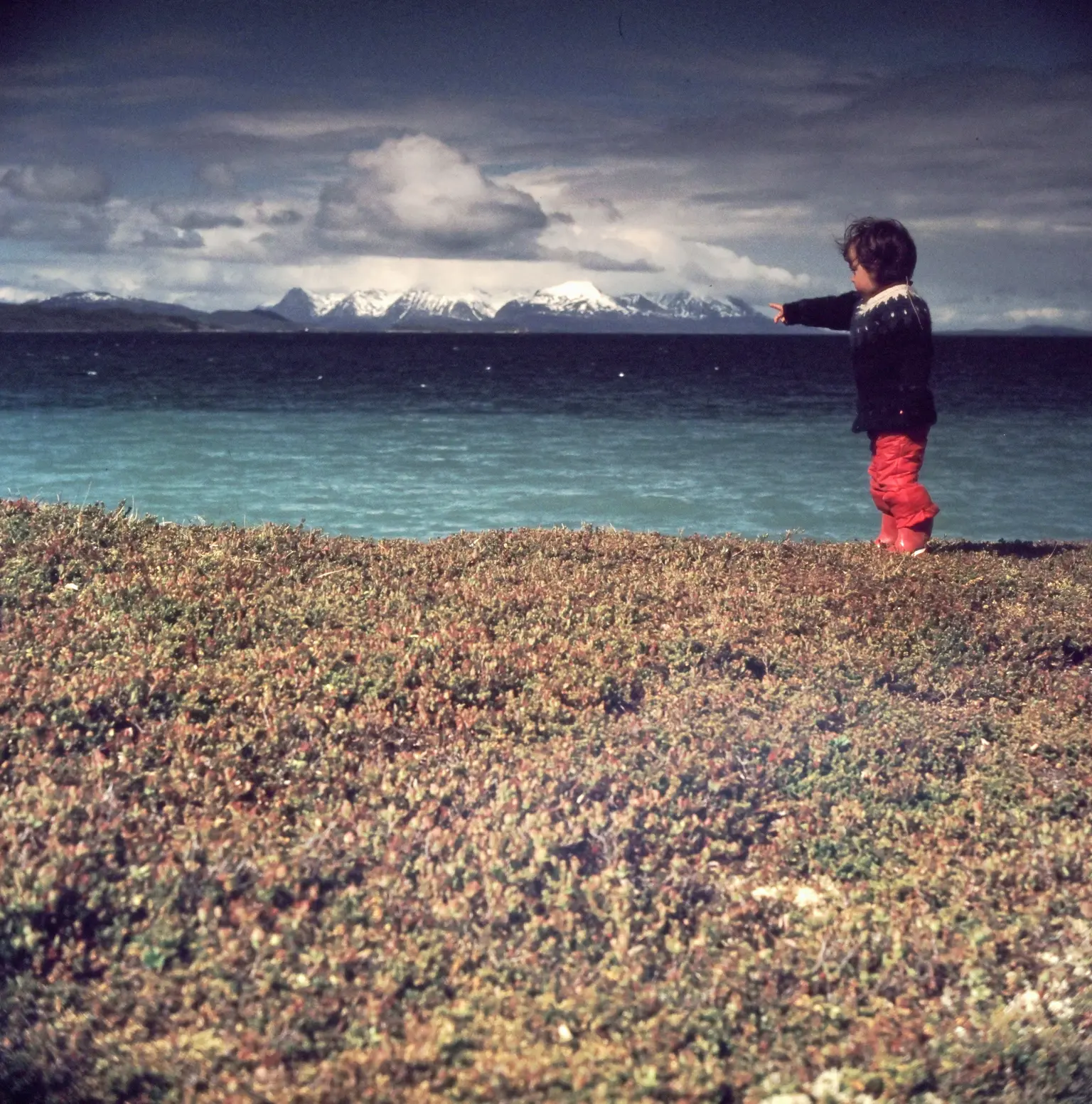 Childhood Memories - Photo 21