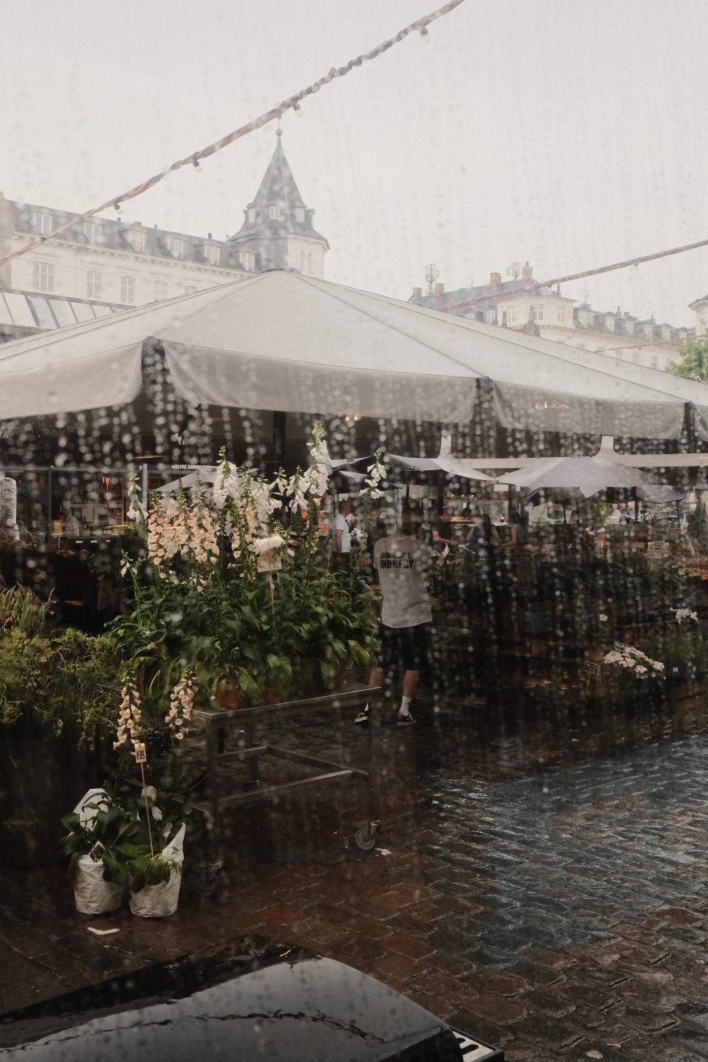 Copenhagen for World of Coffee - Photo