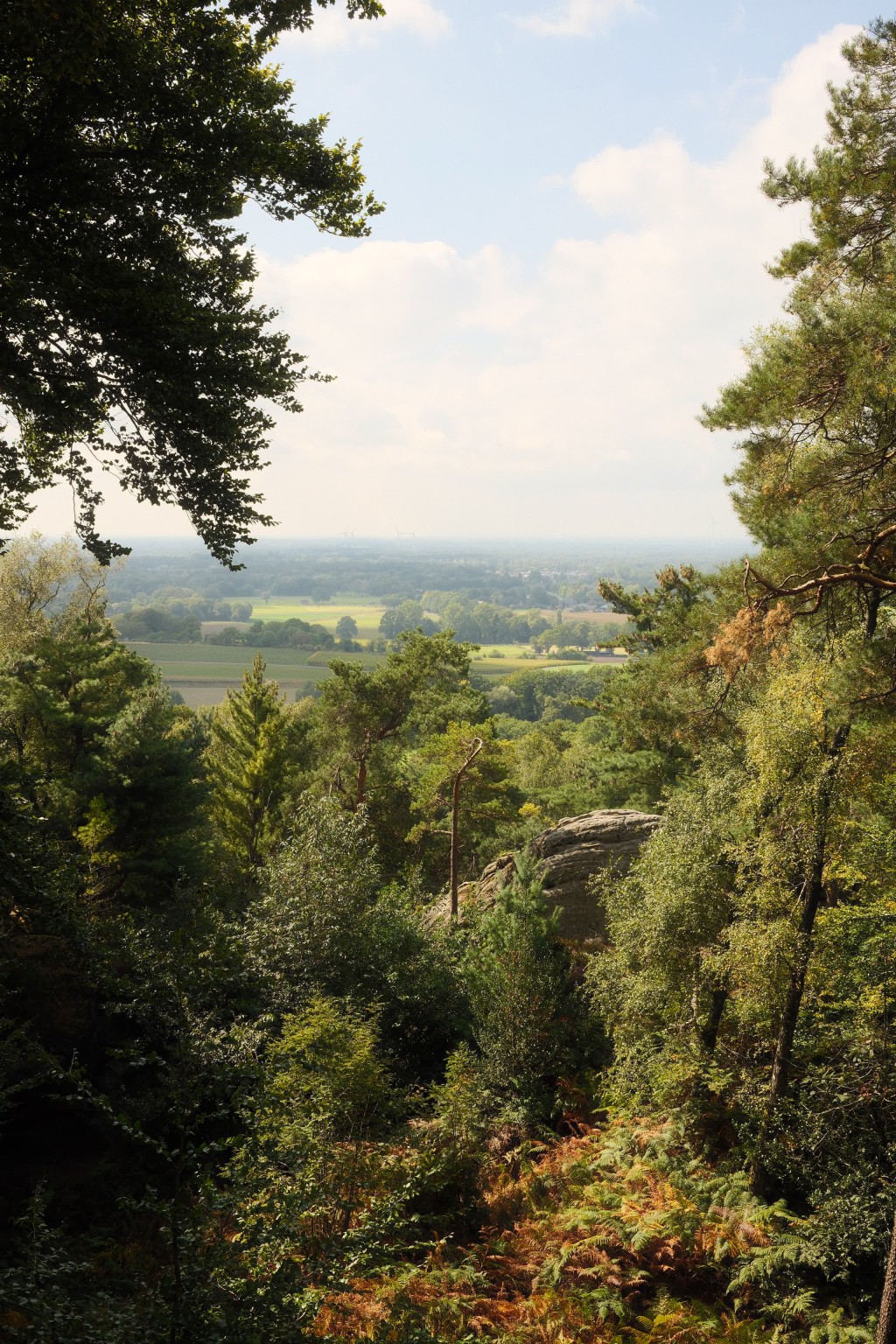 Grafschaft & Twente - Photo