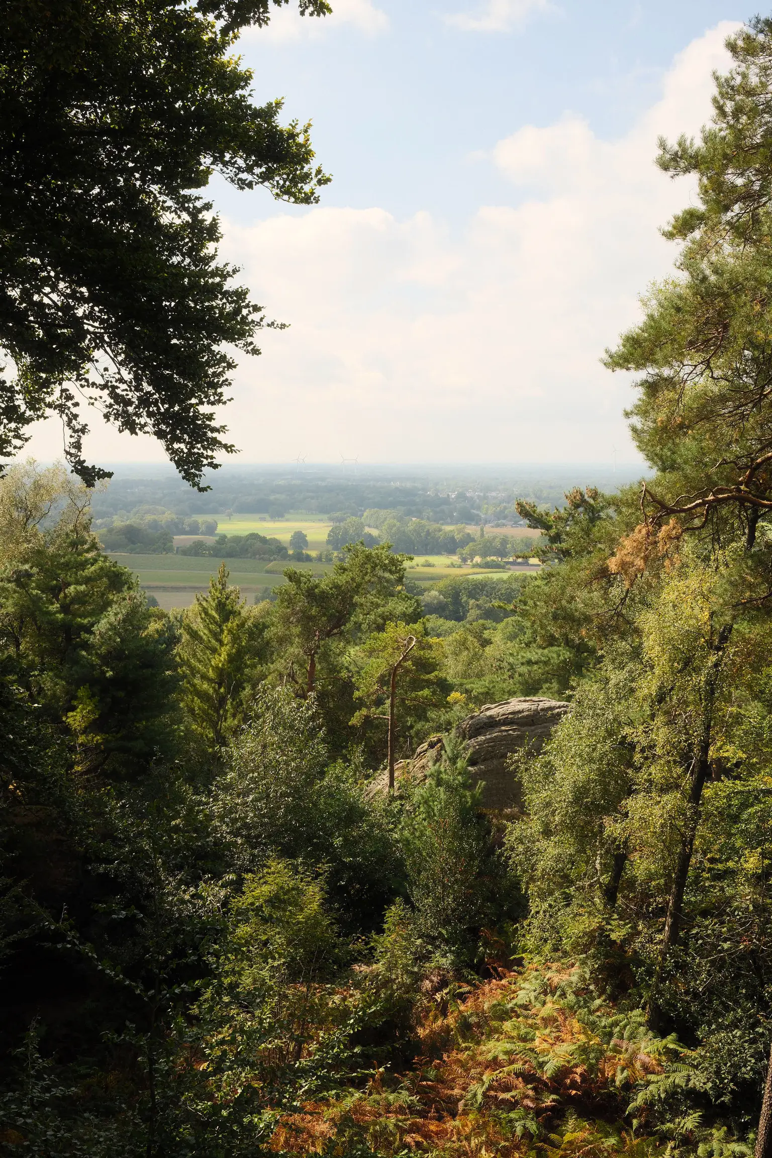 Grafschaft & Twente - Photo 7