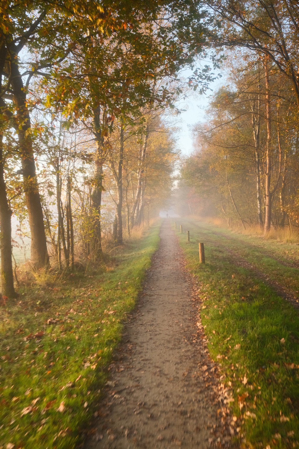 Grafschaft & Twente - Photo