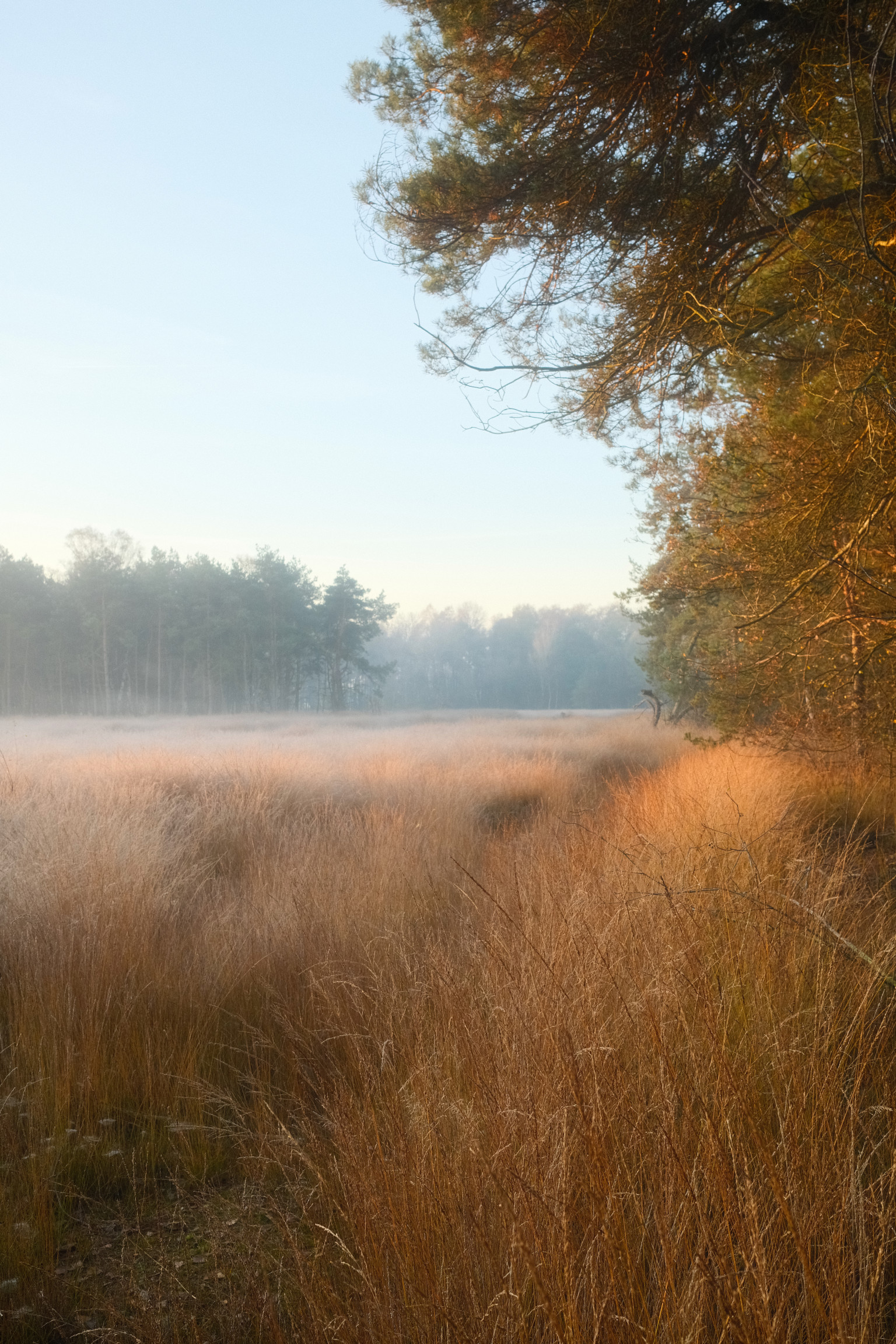 Grafschaft & Twente - Photo 9