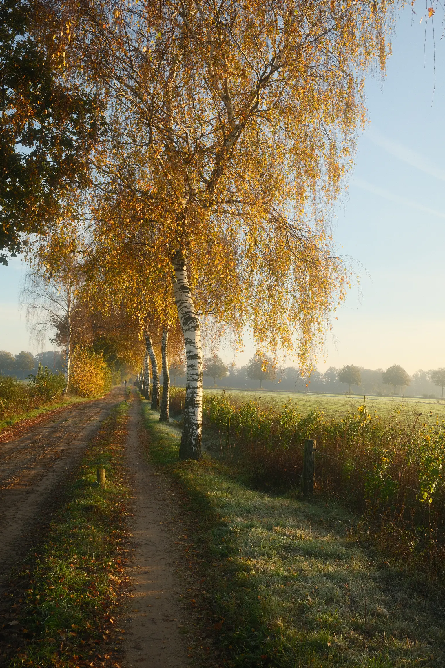 Grafschaft & Twente - Photo 11