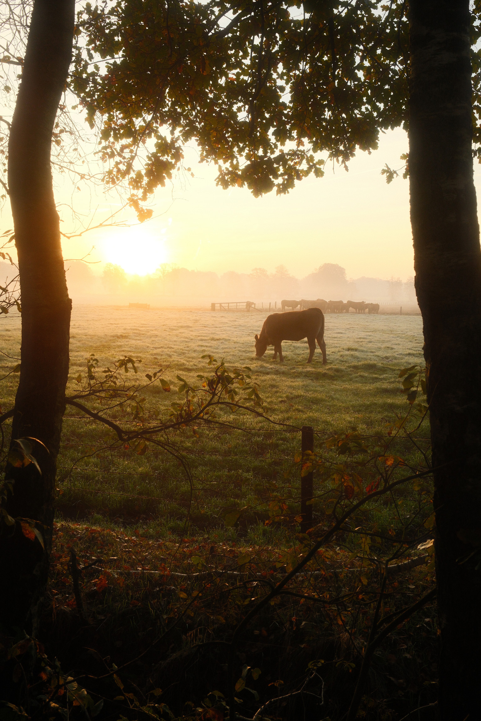 Grafschaft & Twente - Photo 6