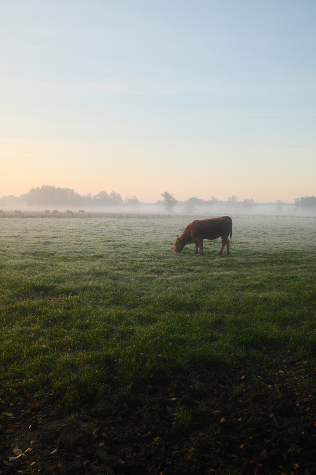 Grafschaft & Twente - Photo