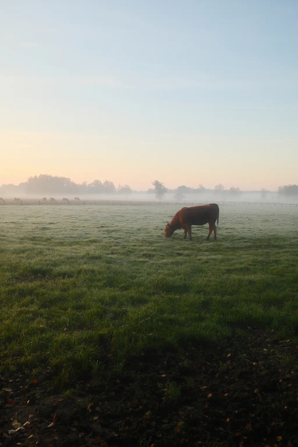 Grafschaft & Twente - Photo