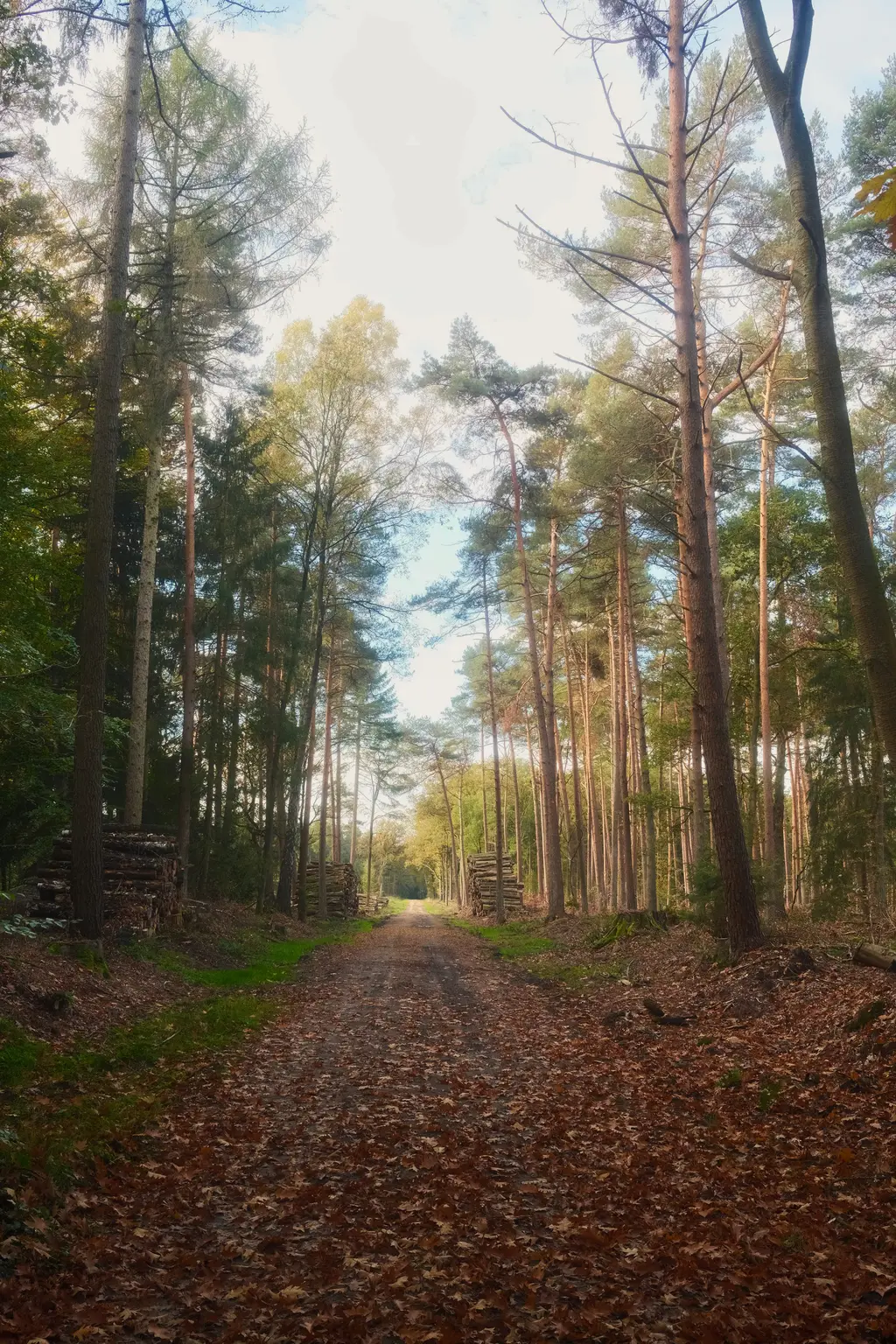 Grafschaft & Twente - Photo