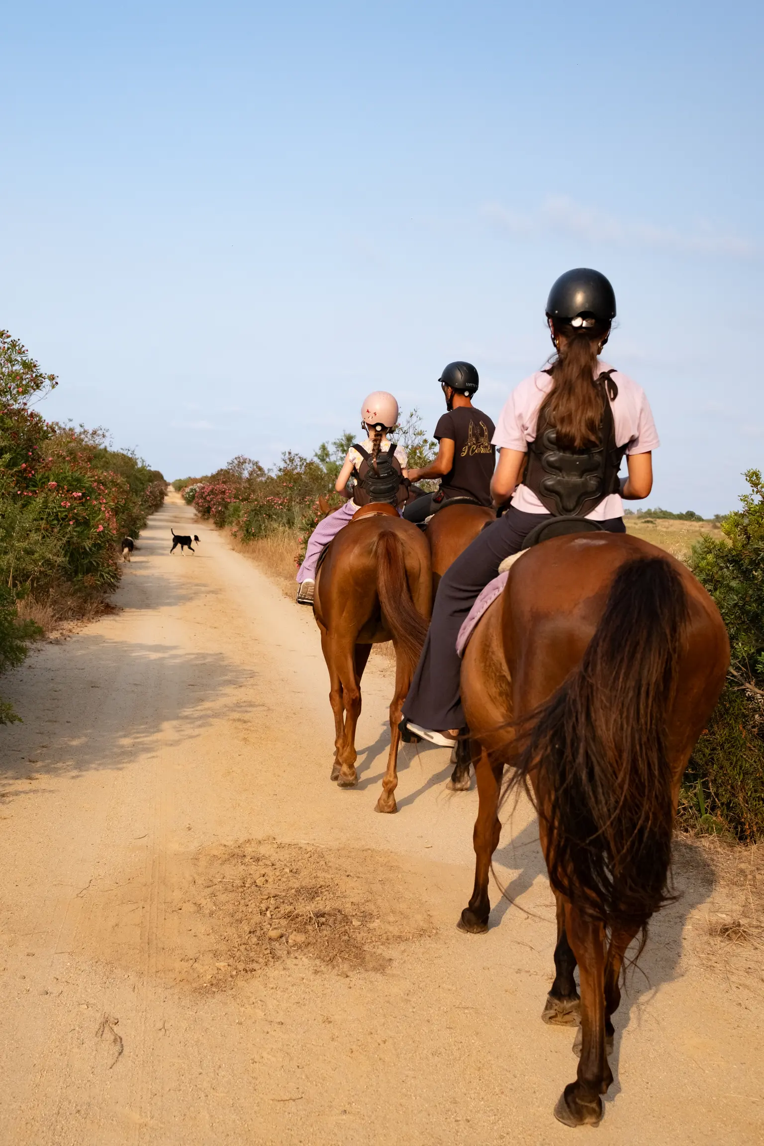 South-East Sardinia - Photo 18