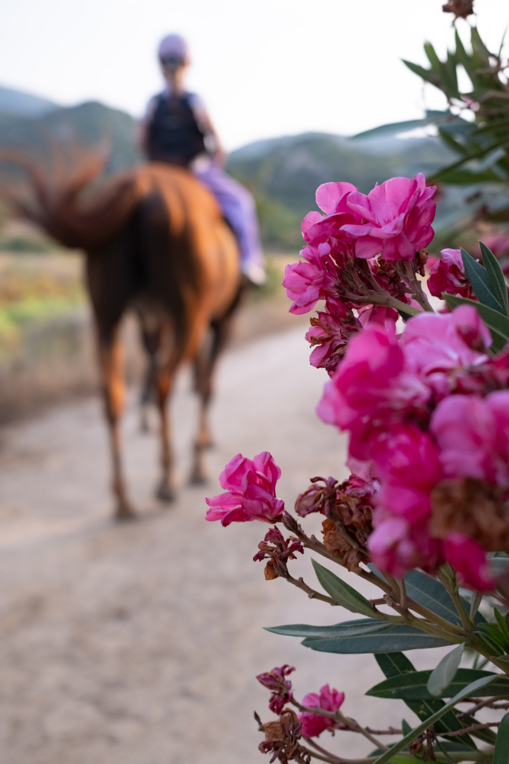 South-East Sardinia - Photo