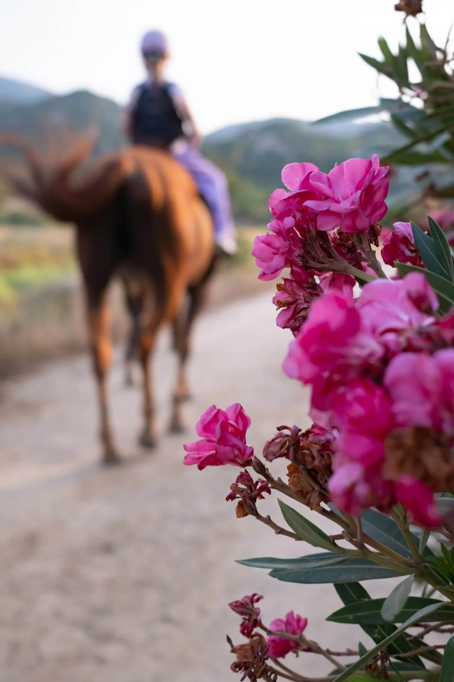 South-East Sardinia - Photo 21