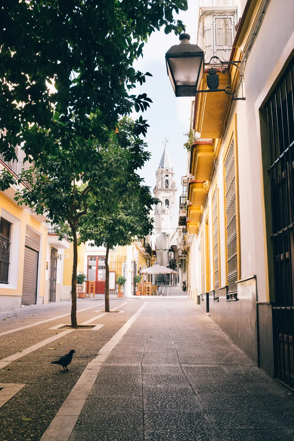The Andalusian Summer Heat - Photo